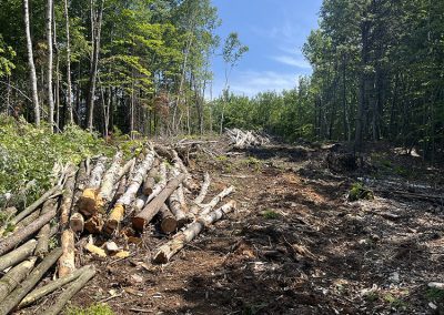Service de déboisement avant - Gouttières Lanaudière